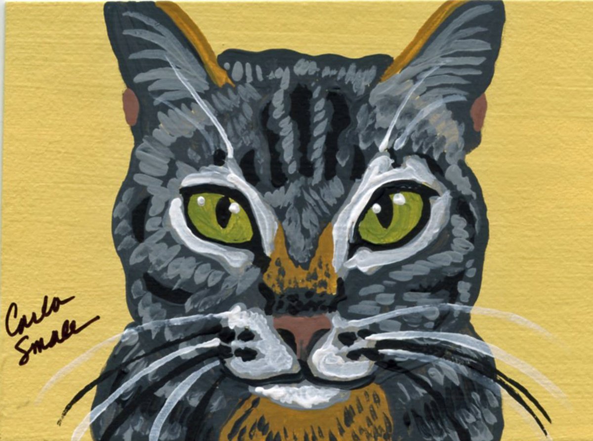 Tabby Cat by Carla Smale