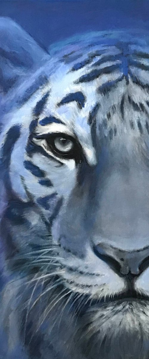 Wild by Nataliia Zaharuk