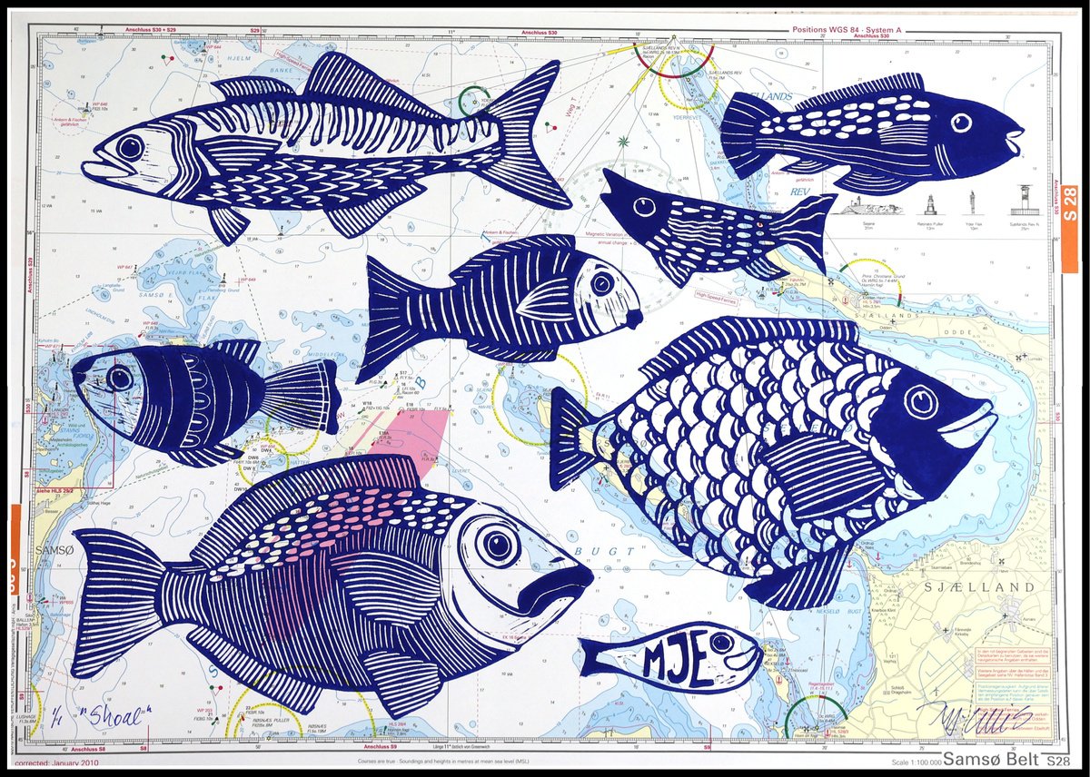 Shoal of fish by Mariann Johansen-Ellis