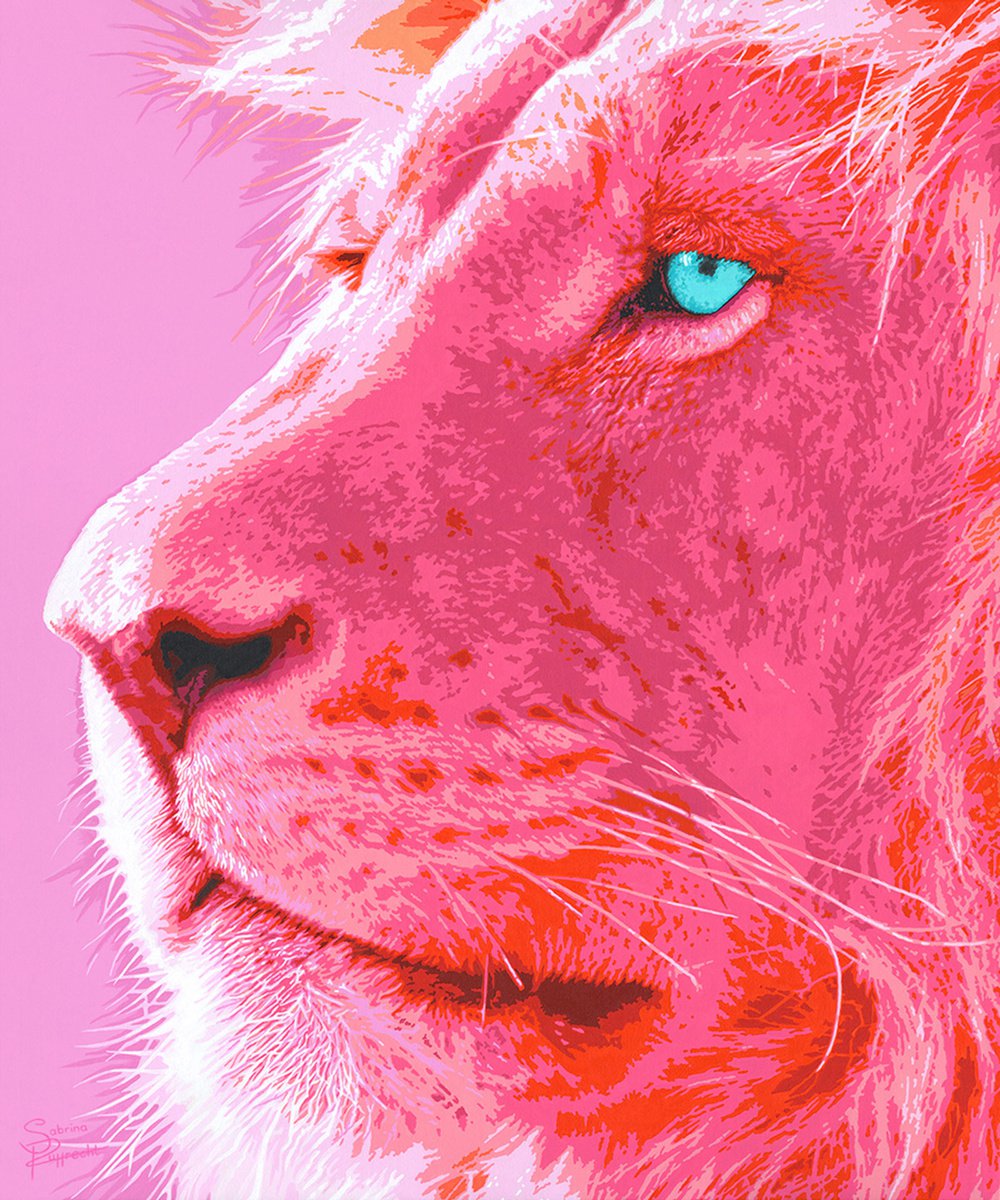 Pink Lion 1 by Sabrina Rupprecht