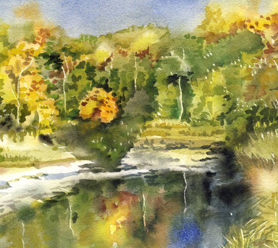 Autumn by the creek