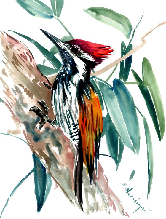 black rumped flameback woodpecker, original watercolor painting