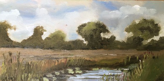 River and meadows, an impressionist oil painting