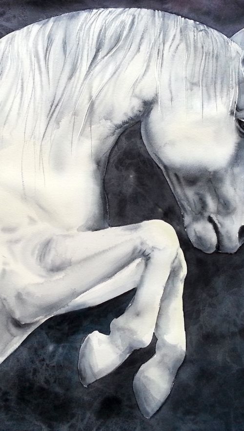 Forward Movement  - White Hors by Olga Beliaeva Watercolour
