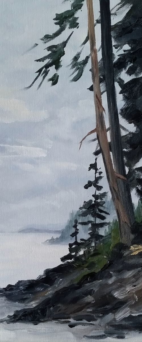 Coastal Fog by Katrina Case