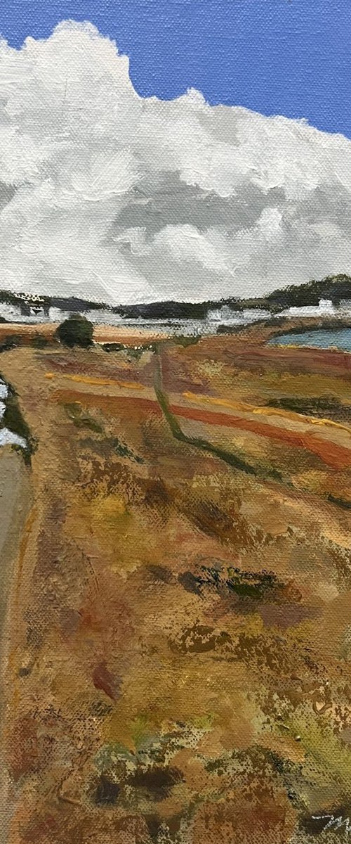 Tidal Marsh by MaryAnne McKernie