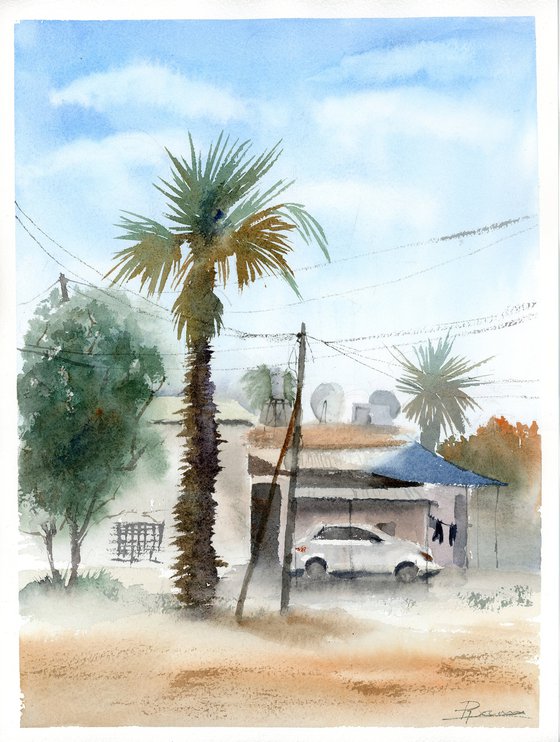 Palm and Shadows