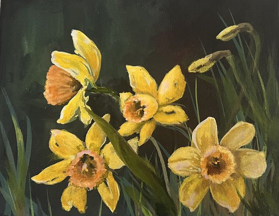 daffodils