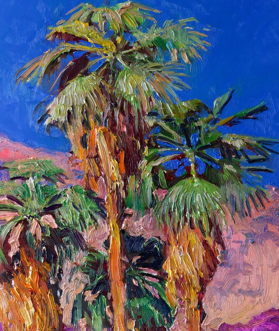 Desert Palm Trees