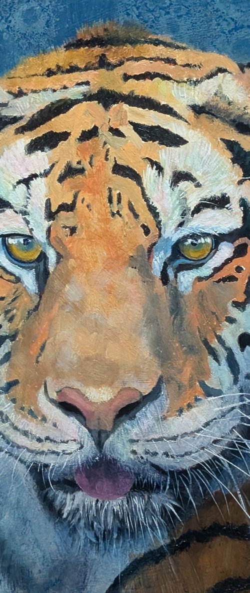 Sarma - Tiger by Jason Edward Doucette