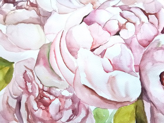 Peonies drawing on paper, Flowers painting