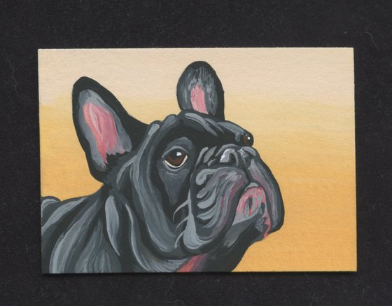 ACEO ATC Original Miniature Painting Black French Bulldog Pet Dog Art-Carla Smale