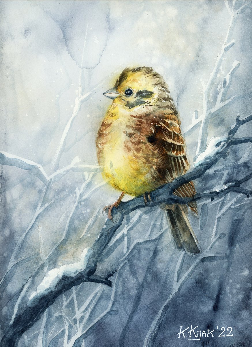 Yellowhammer, watercolor of birds and wildlife by Karolina Kijak