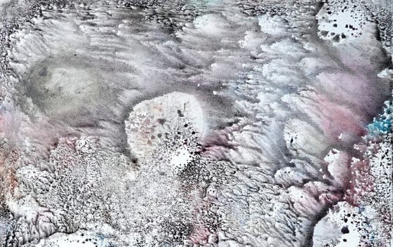 Tidepool Dreams