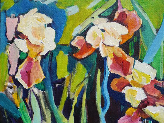 Irises, evening time