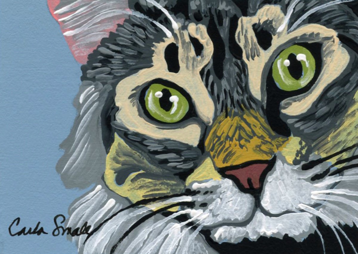 Gray Tabby Cat by Carla Smale