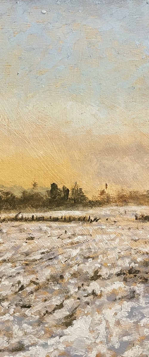 Snow Sketch by Shayne McGirr