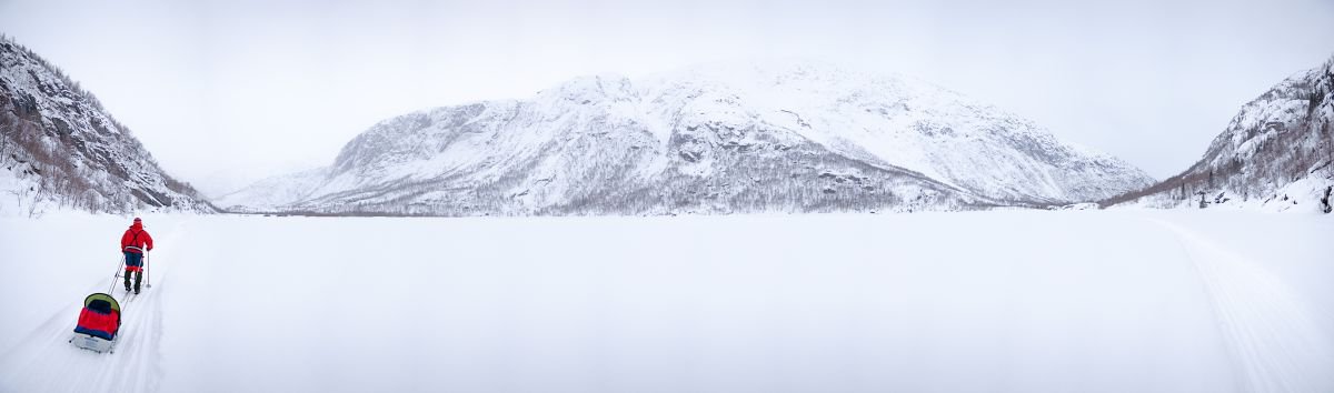 Frozen Lake. (183x61cm) by Tom Hanslien