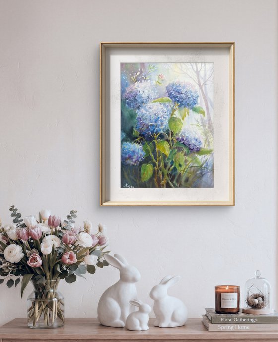 Blue Hydrangeas flowers