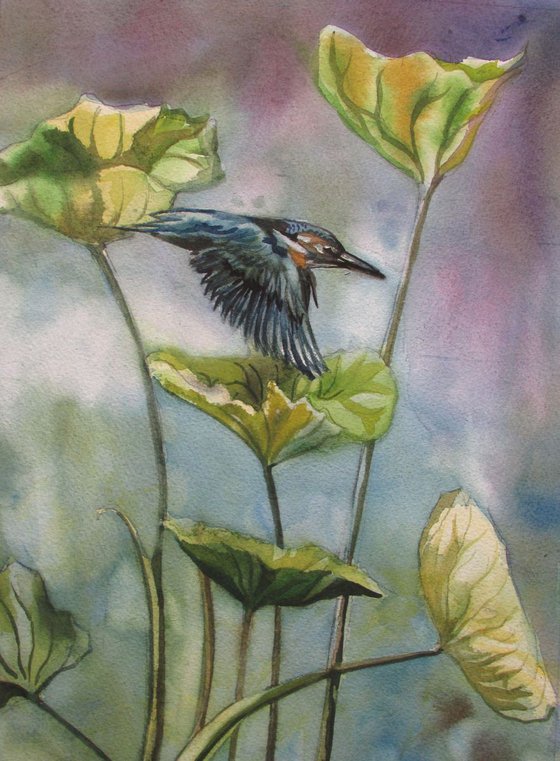 kingfisher with waterlily