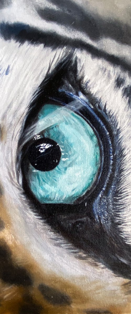 Eye by Martyna Maik