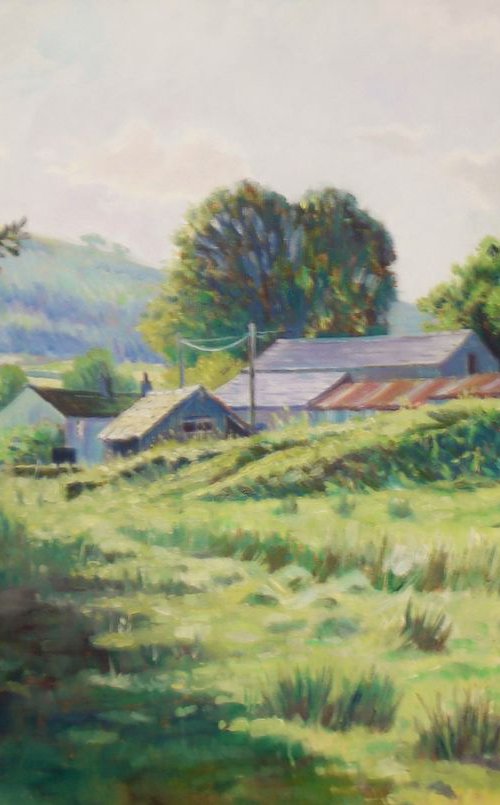 Barns at Skyreholme by Damian Gerard Bland