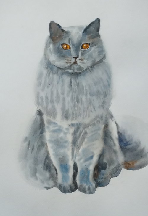 Cat by Valentina Kachina