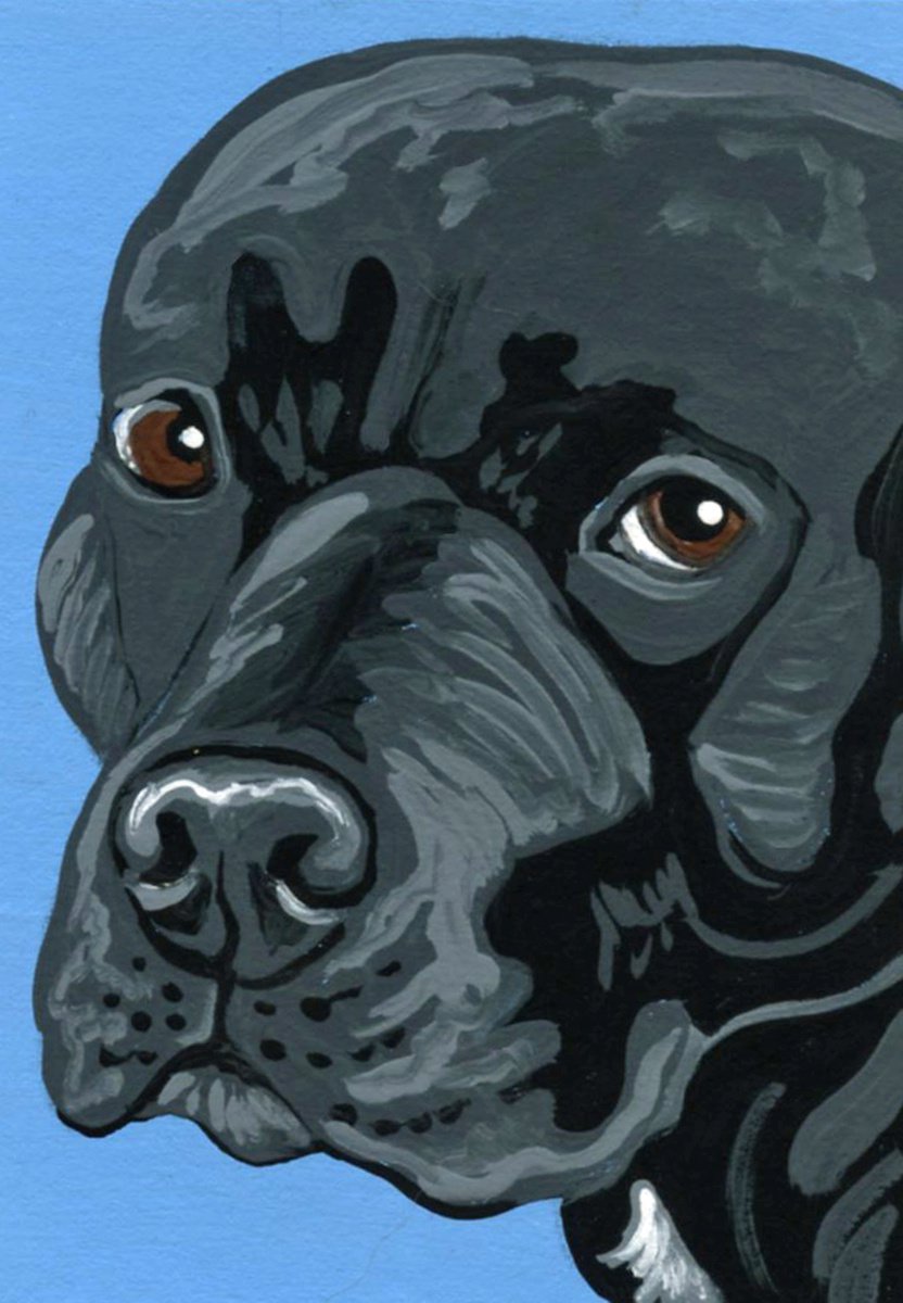 ACEO ATC Original Miniature Painting Black Pitbull Dog Art-Carla Smale by carla smale