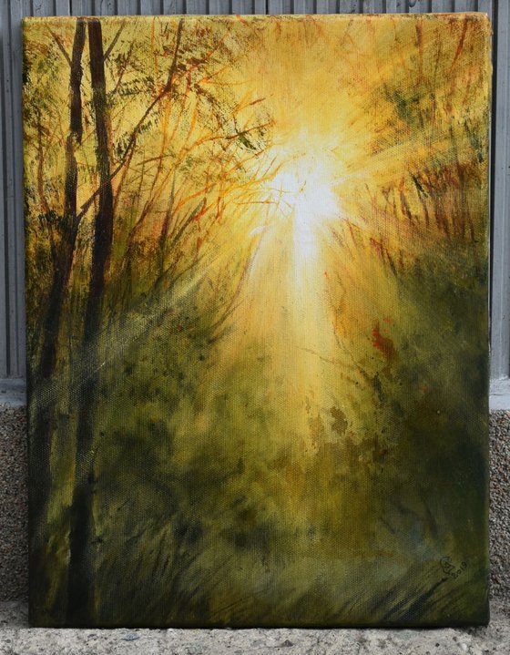 " Catch the morning rays "  SPECIAL PRICE!!!