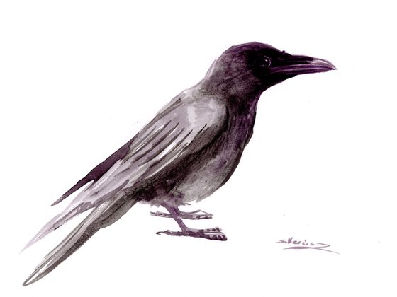 Crow