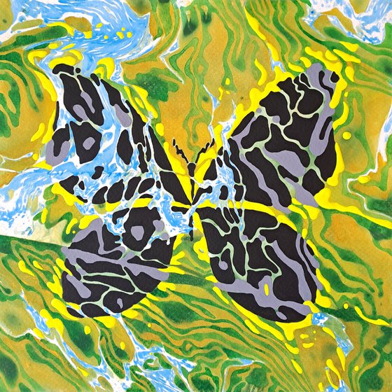 Butterfly «Black Velvet»