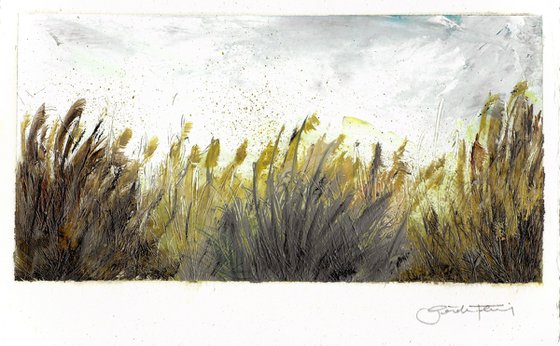 Landscape / Quiet Field II