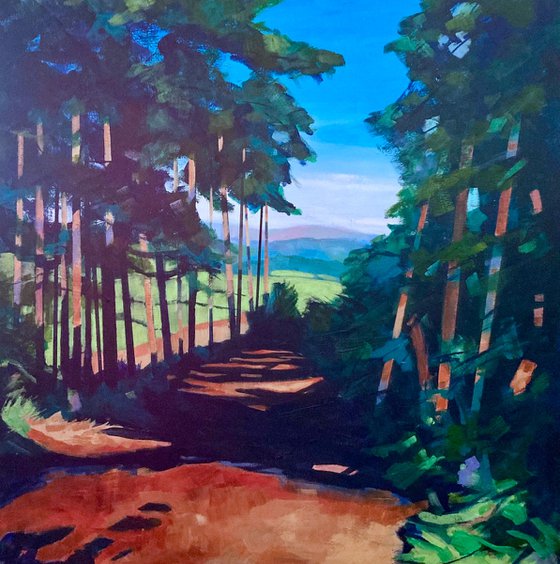 Top Path at Kinsley woods