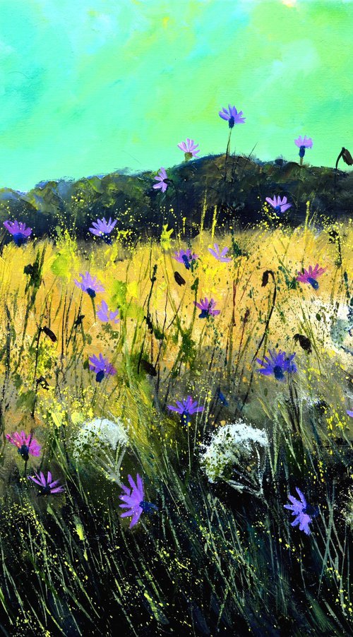 Wild purple cornflowers by Pol Henry Ledent