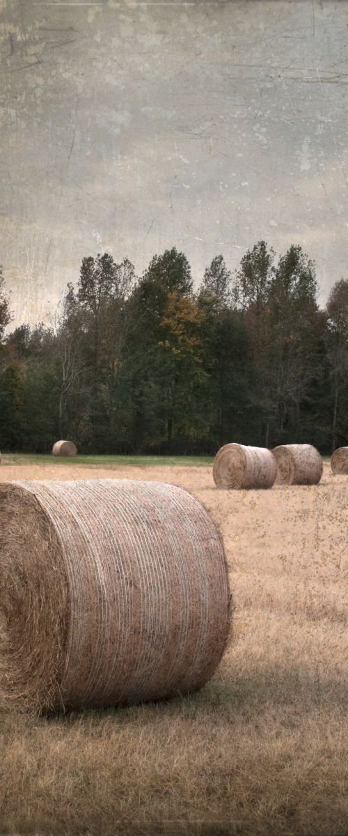 Untitled Hay Bales by Robert Tolchin