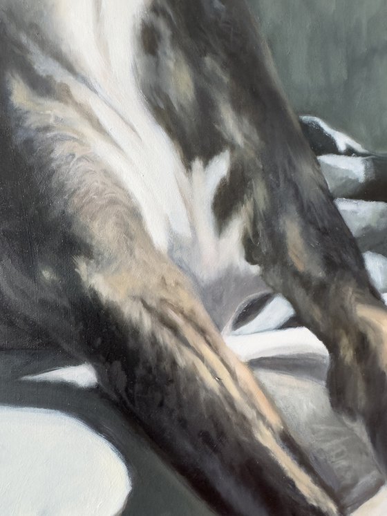 The Whippet