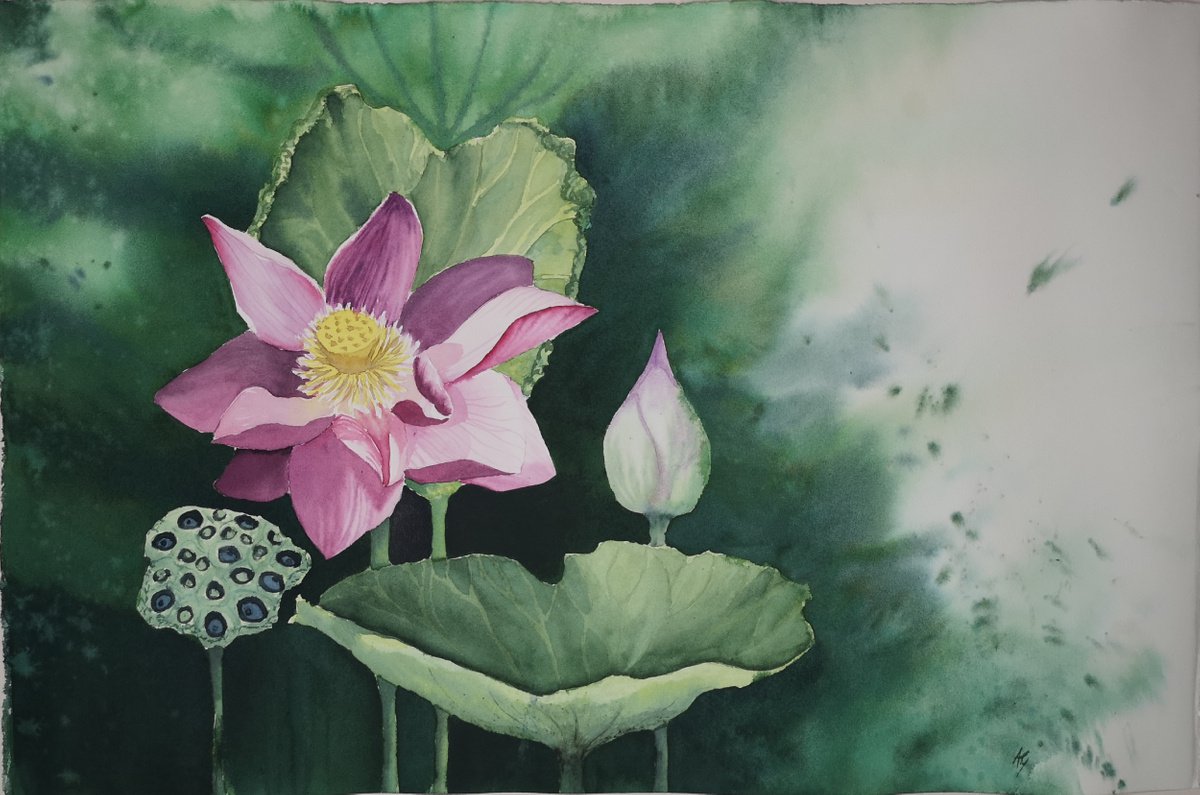 Impressionistic Botanical Watercolour By Aneta Gajos, 22 X 15, Lotos, Original Artwork