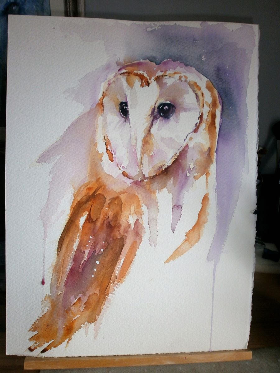 Barn Owl by Sue  Green