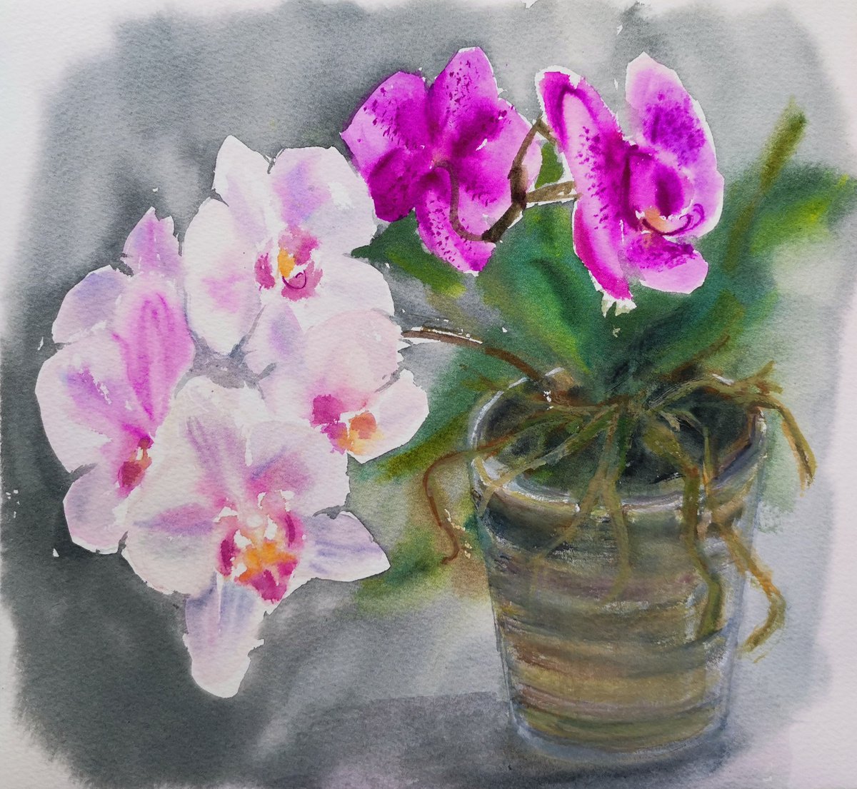 Orchids by Elina Venkova