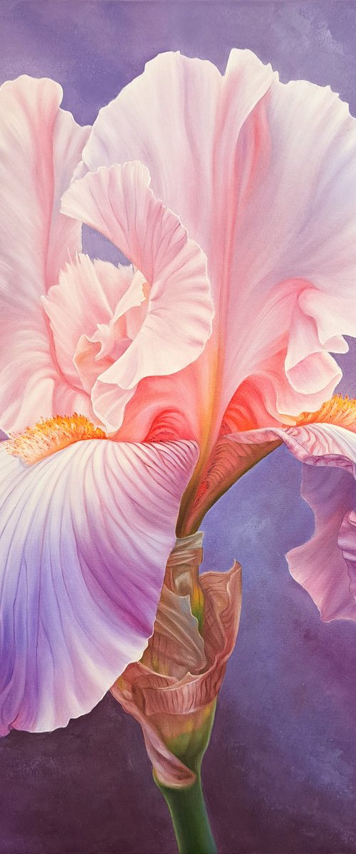 Portrait of Iris. Vivien by Anna Steshenko