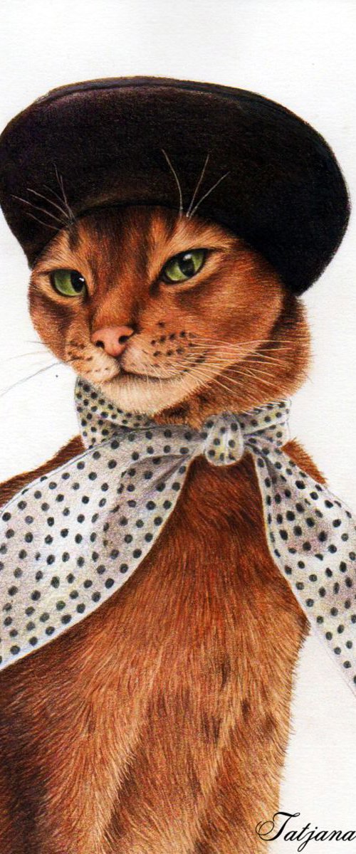 Cat Lady by Tatjana Bril