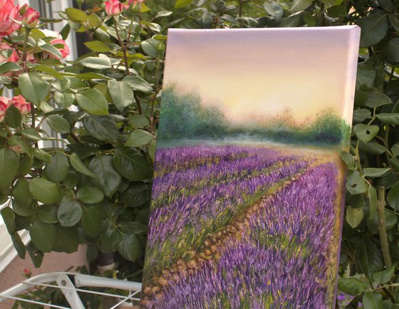 Purple meadow