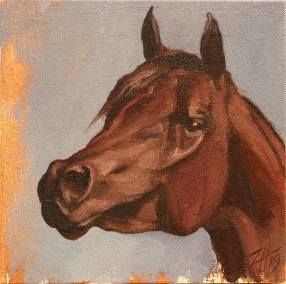 Equine Head Arab Chestnut (study 32)