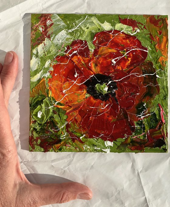 Poppy Flowers Painting