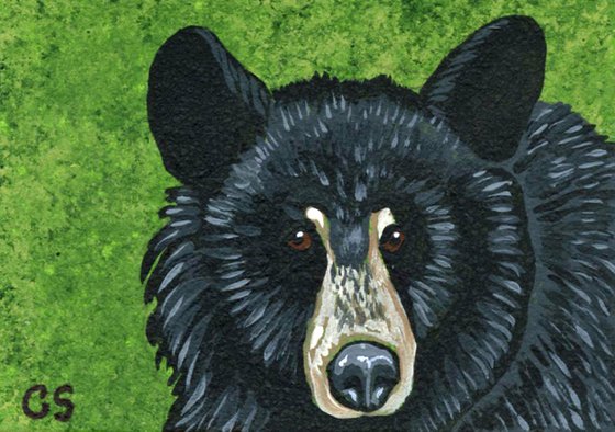 ACEO ATC Original Miniature Painting Black Bear Wildlife Art-Carla Smale