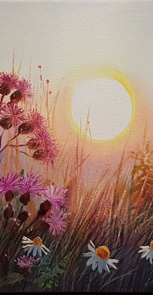 Follow the Sun by Diana Janson