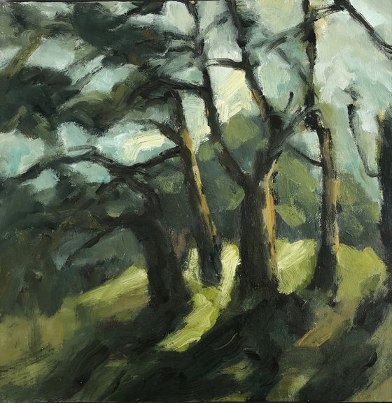 midwinter sun