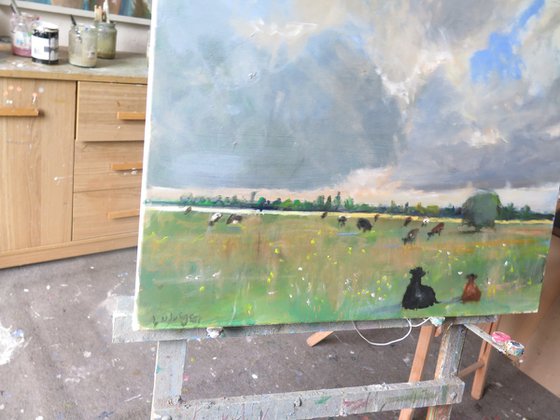 Cow Meadow