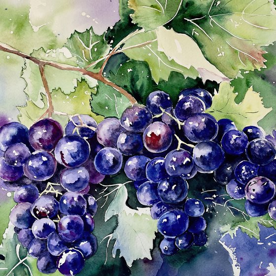 Serenity in Grapes
