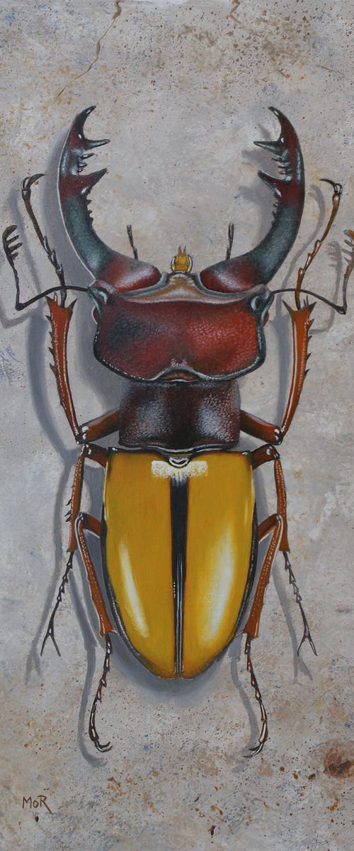 Lucanus Laetus by Dietrich Moravec